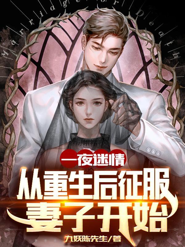 一夜迷情:从重生后征服妻子开始