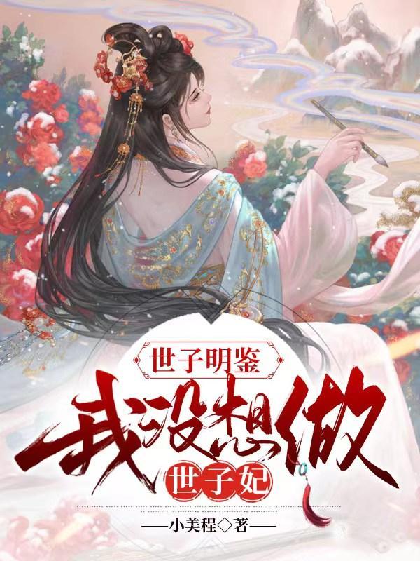 世子明鉴,我没想做世子妃