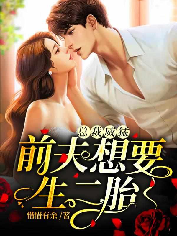 总裁威猛:前夫想要生二胎