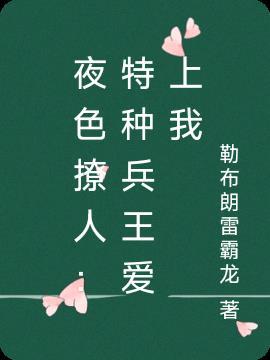 夜色撩人:特种兵王爱上我