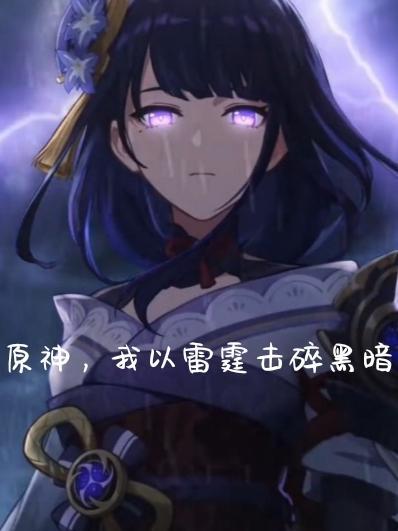 原神,我以雷霆击碎黑暗