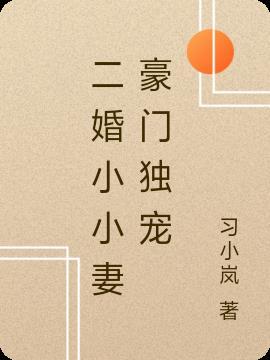 二婚小小妻豪门独宠