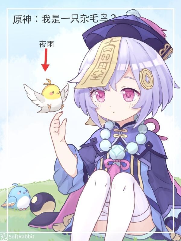 原神,我是一只杂毛鸟?