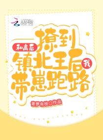 和离后,撩到镇北王后我带崽跑路