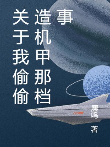 关于我偷偷造机甲那档事