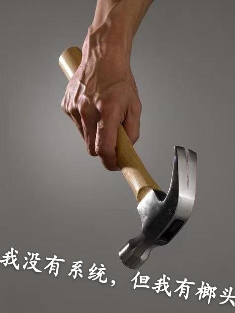 我没有系统，但我有榔头