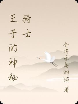 王子的神秘骑士