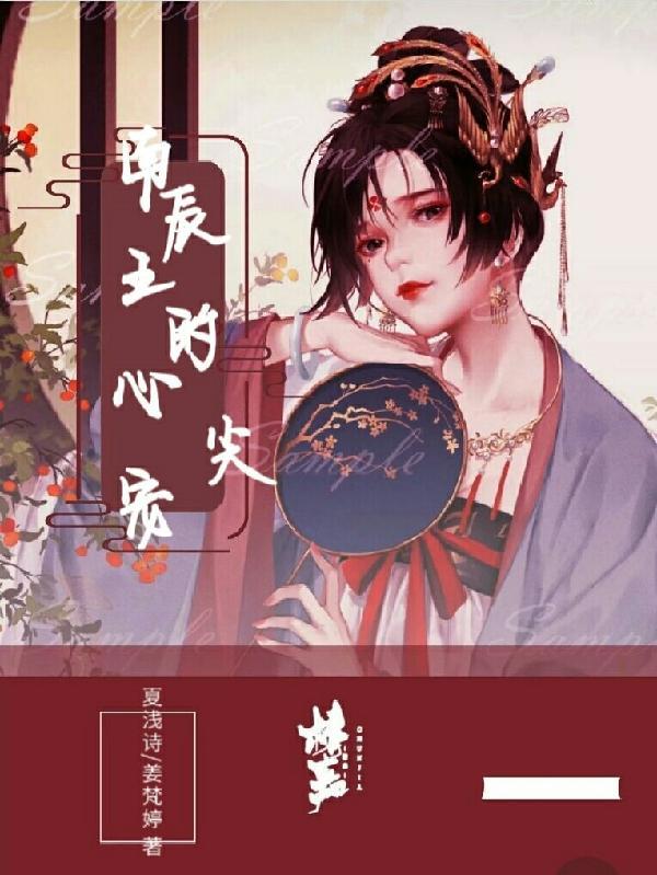 南辰王的心尖宠