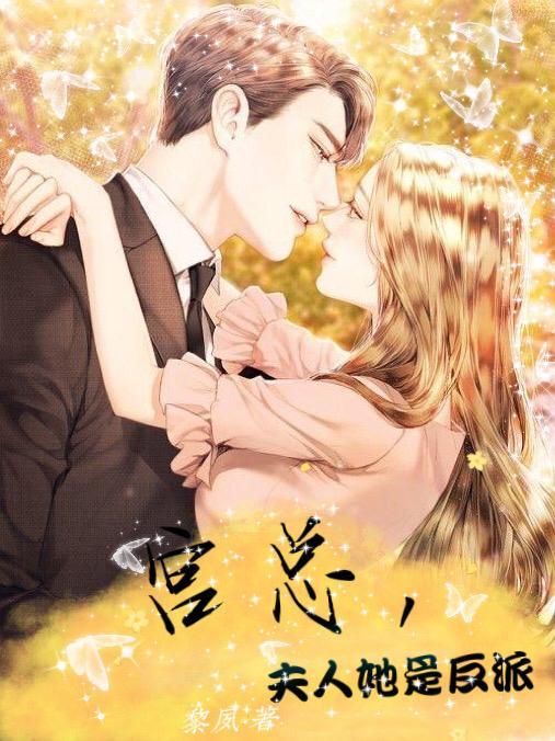 宫总,夫人她是反派