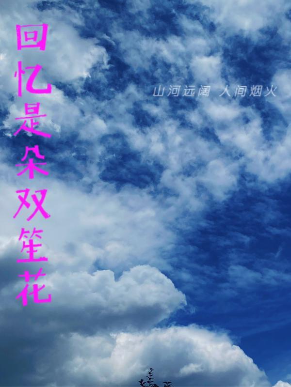 回忆是朵双笙花