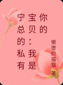 宁总的私有宝贝：我是你的