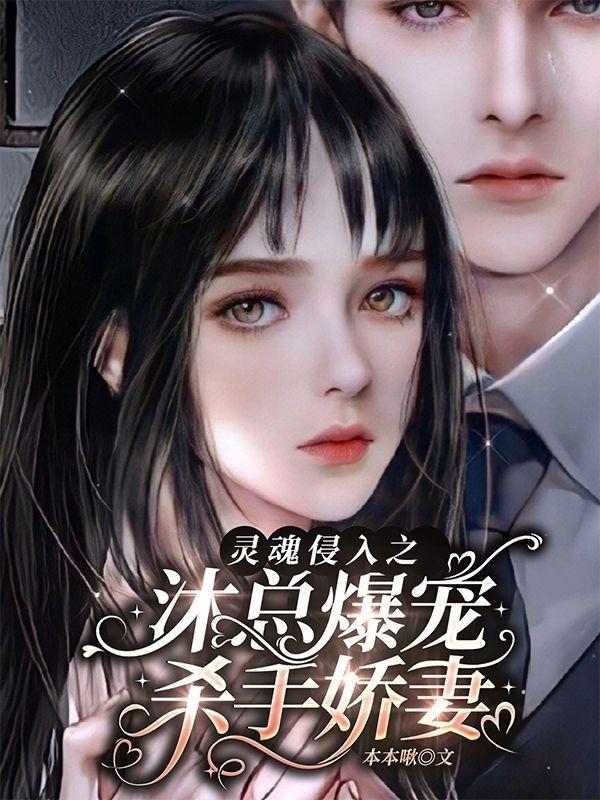 灵魂侵入之沐总爆宠杀手娇妻
