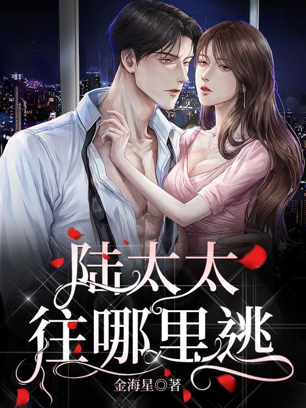 陆太太,往哪里逃