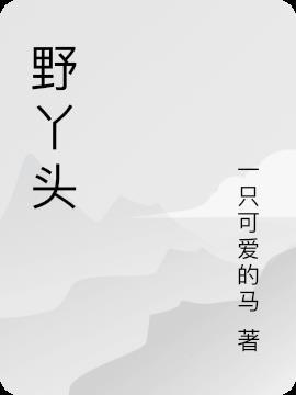 野丫头