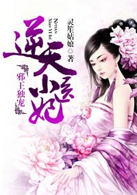 邪王独宠:逆天小医妃