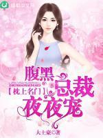 枕上名门:腹黑总裁夜夜宠
