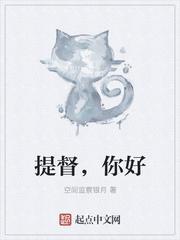 提督,你好