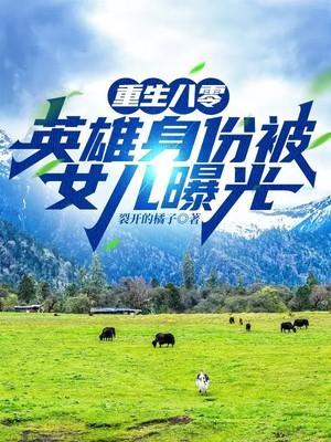 重生八零:英雄身份被女儿曝光!
