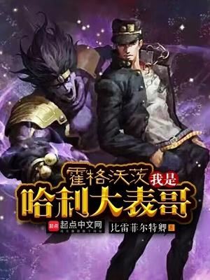 霍格沃茨:我是哈利大表哥