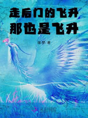 走后门的飞升,那也是飞升!