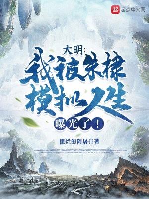 大明:我被朱棣模拟人生曝光了!