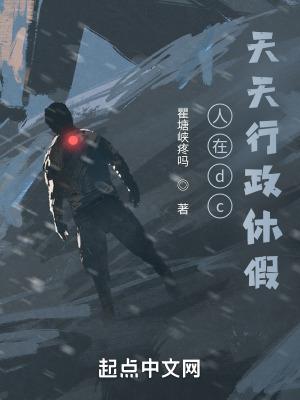 人在dc,天天行政休假