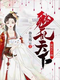 魅乱天下:盗妃不下榻