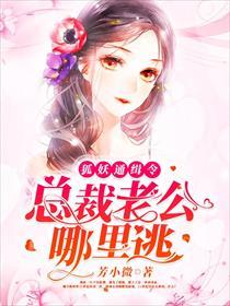 狐妖通缉令:总裁老公,哪里逃