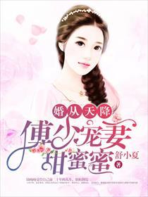 婚从天降:傅少宠妻甜蜜蜜