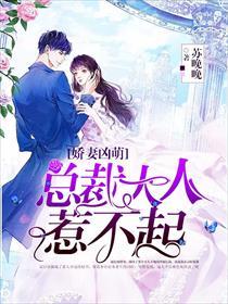 娇妻凶萌,总裁大人惹不起