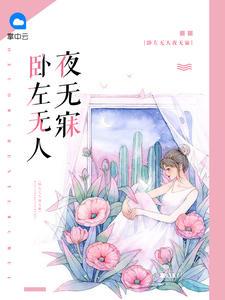 卧左无人夜无寐