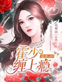 宠妻入怀:霍少缠上瘾