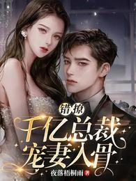 错撩!千亿总裁宠妻入骨