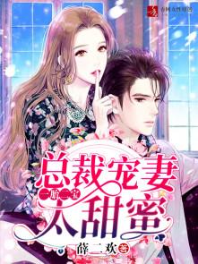 一胎二宝:总裁宠妻太甜蜜