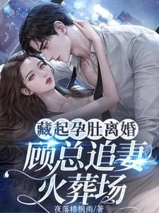 藏起孕肚离婚,顾总追妻火葬场!