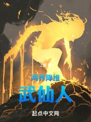 两界降维:武仙人