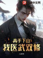 高手下山:我医武双修