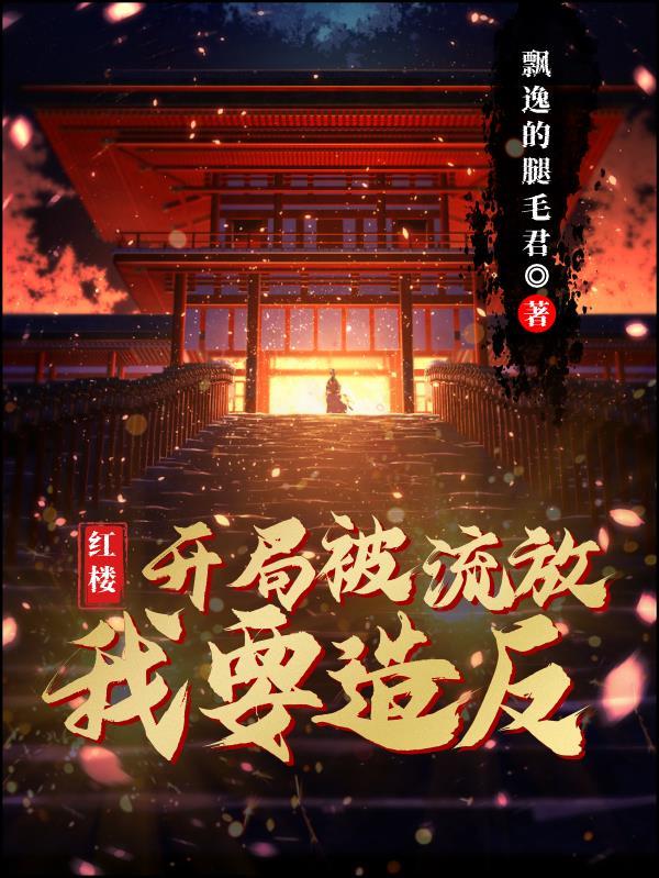 红楼:开局被流放,我要造反