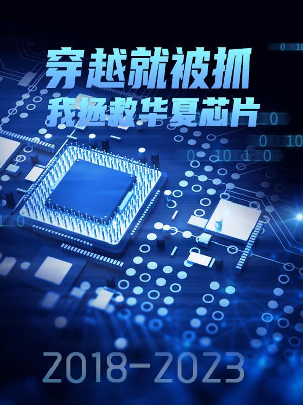 穿越就被抓,我拯救华夏芯片