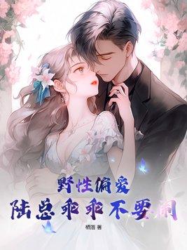 野性偏爱:陆总乖乖不要闹