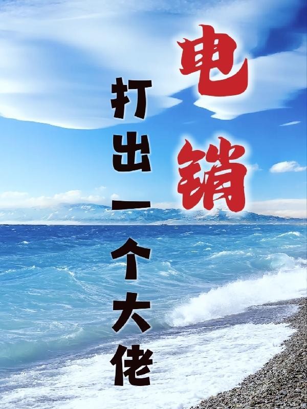 电销,打出一个大佬