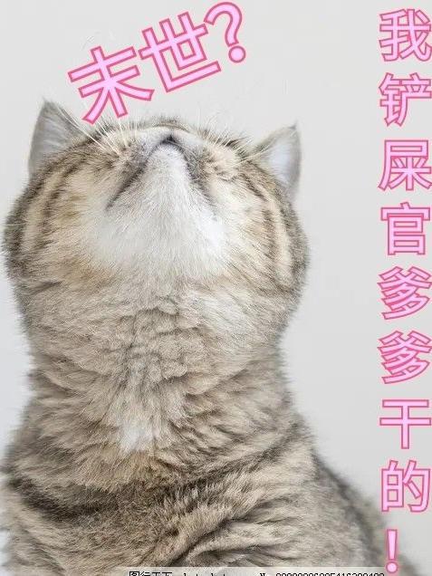 末世?我铲屎官爹爹干的!