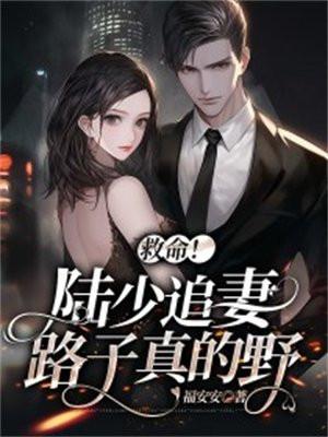 救命!陆少追妻路子真的野