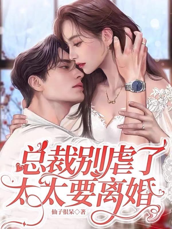 总裁别虐了,太太要离婚