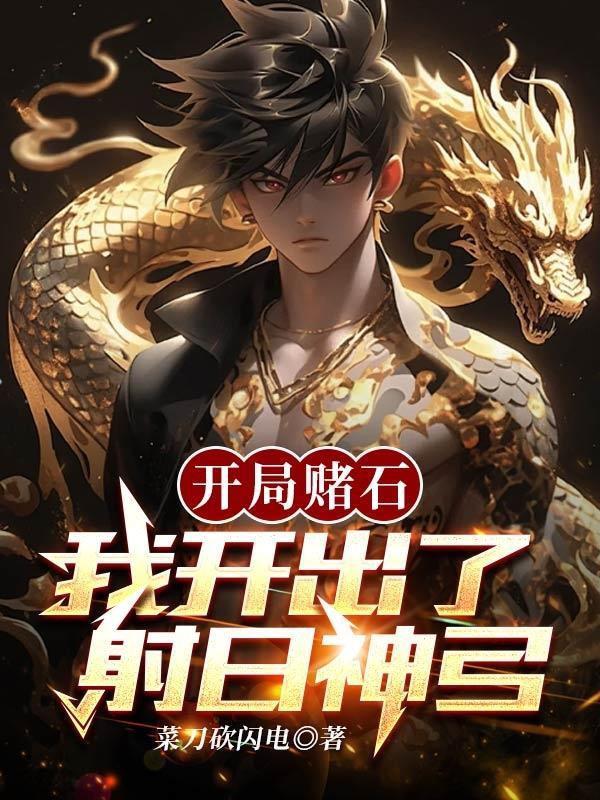 开局赌石,我开出了射日神弓