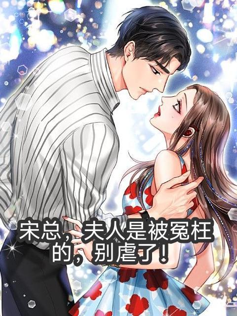 宋总,夫人是被冤枉的,别虐了!