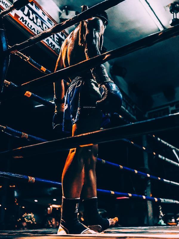 拳王:从一九八三开始