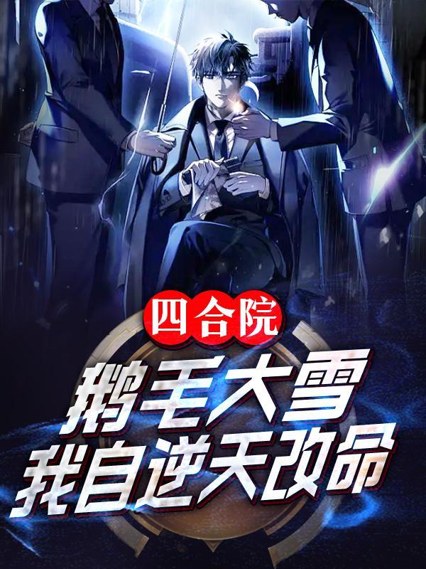 四合院:鹅毛大雪,我自逆天改命