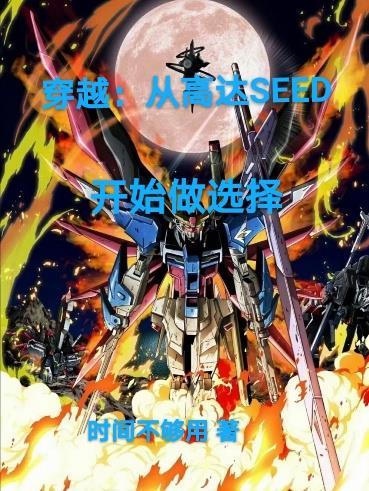 穿越:从高达SEED开始做选择