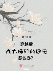 穿越后成大佬们的团宠怎么办?